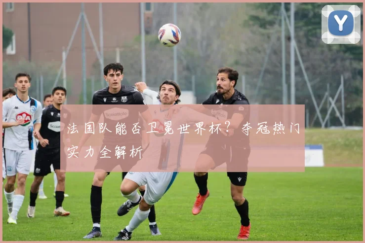 法国队能否卫冕世界杯?夺冠热门实力全解析